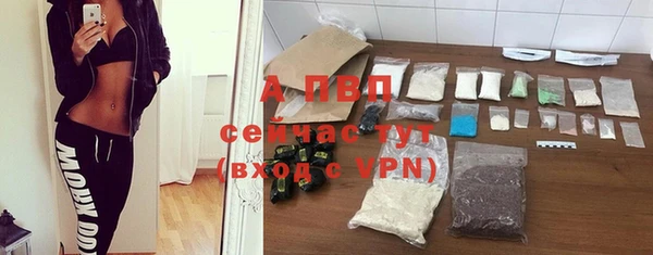 тгк Балахна