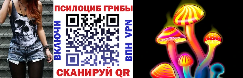 Галлюциногенные грибы Psilocybe  Ессентуки 